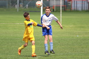 开云体育app官网-俱乐部推出球迷教育项目倡导文明观赛文化,球迷俱乐部是干嘛的