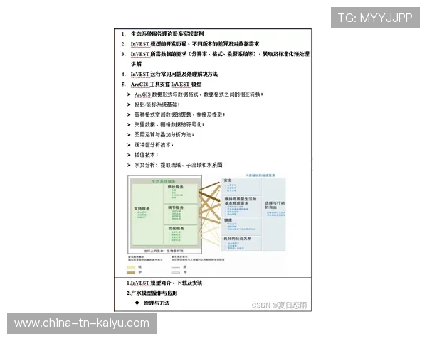 琑队如何建立青训成果的量化评估与奖励体系,青训选拔标准