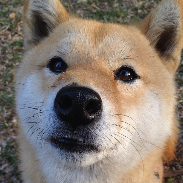 开运体育电脑版-青少年足球训练:国际合作与创新实践,青少年足球训练大纲与指导手册