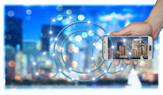 开云体育-高校运动训练数据智能分析技术，高校运动项目的训练设置