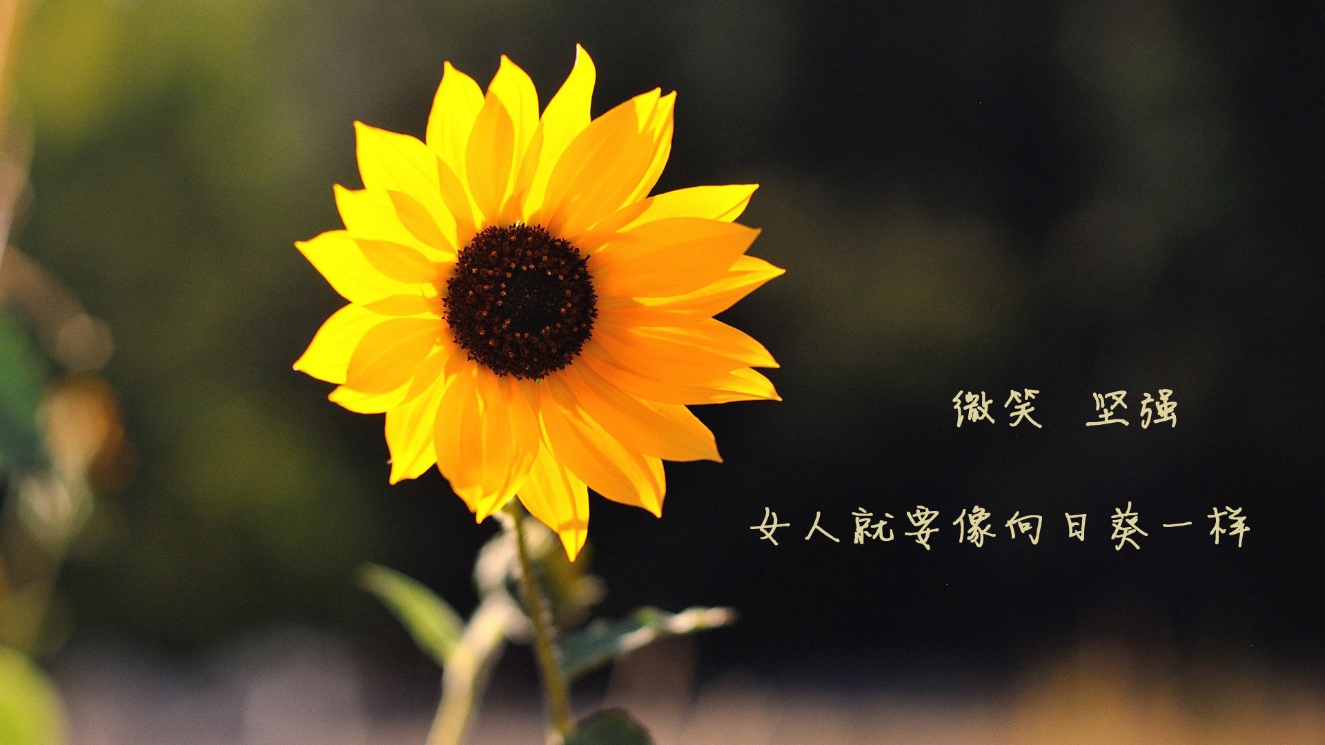 开云体育官网在线-PSG赛后准备调整,迎接未来挑战,psg赛区是哪个赛区