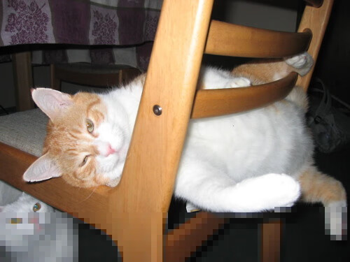 开云体育足球-“彭尤蝶泳自由泳迎新高峰,勇破个人纪录”