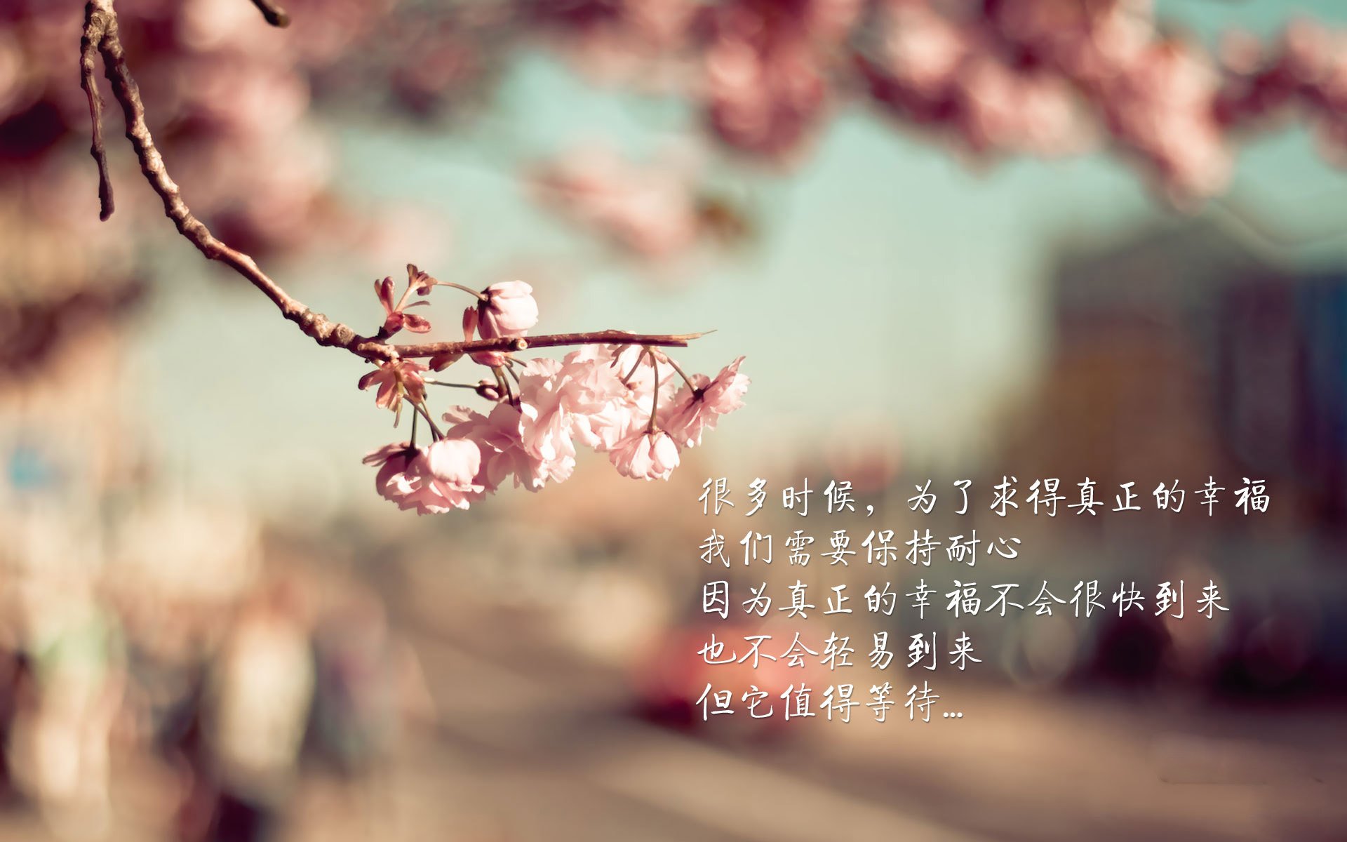 开云体育下载-中国三人篮球男队多点开花增强进攻威胁,中国三人篮球男篮赛程