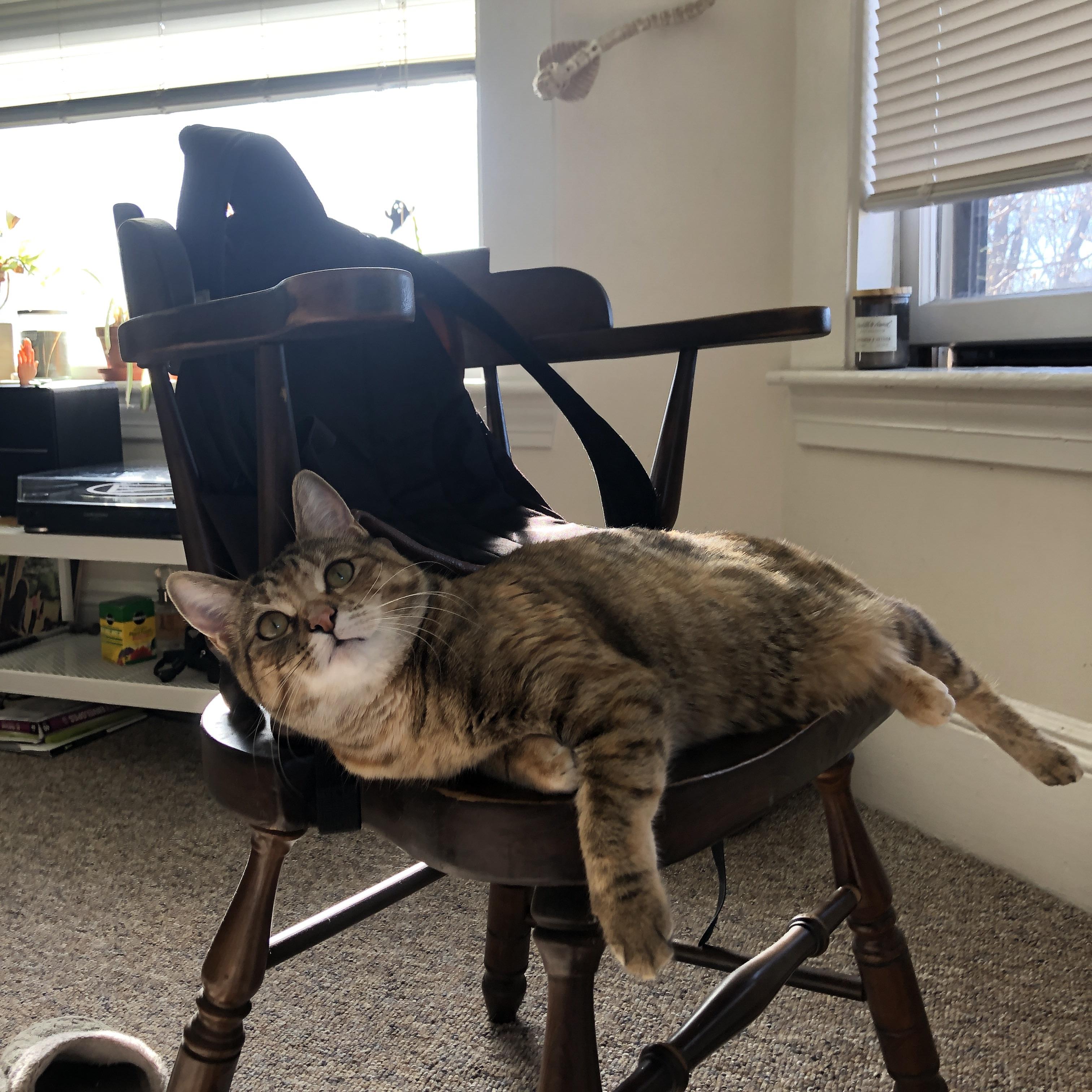 开运体育电脑版-国家队长期缺乏技术分析团队支持，国家队队长有什么用