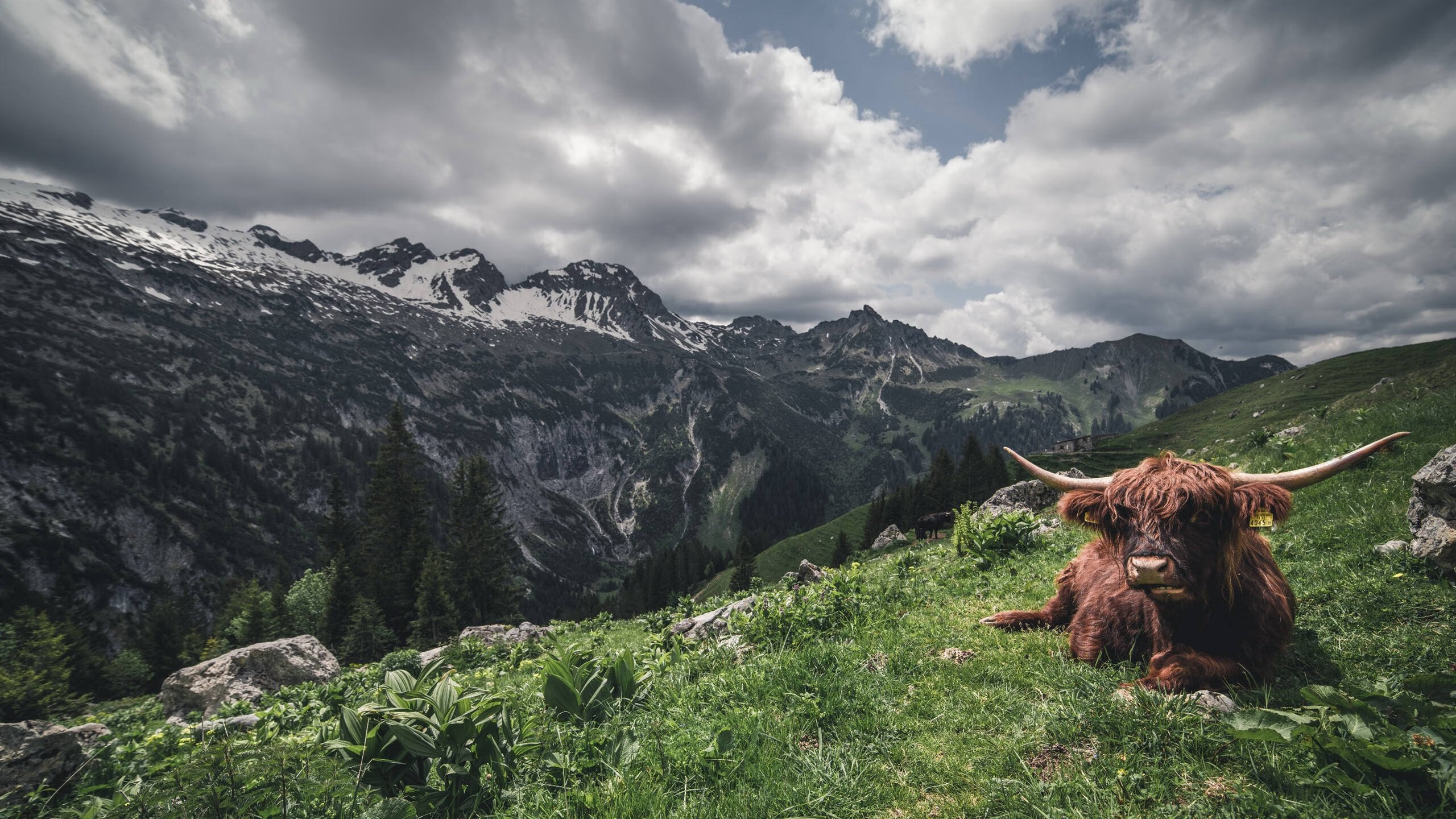 开云体育app入口-皇家社会战术变化丰富突破空间频现，皇家社会厉害吗