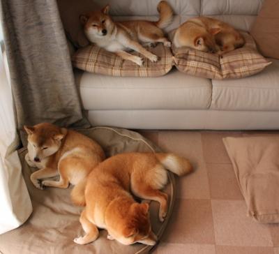 开云体育app注册-篮球赛新人辈出竞争激烈程度升级,篮球比赛出场个人队员介绍词