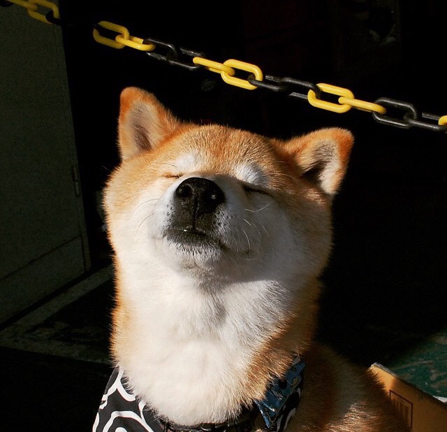 开云体育网址-边锋是否应成为现代战术组织发起点,边锋需要具备的条件