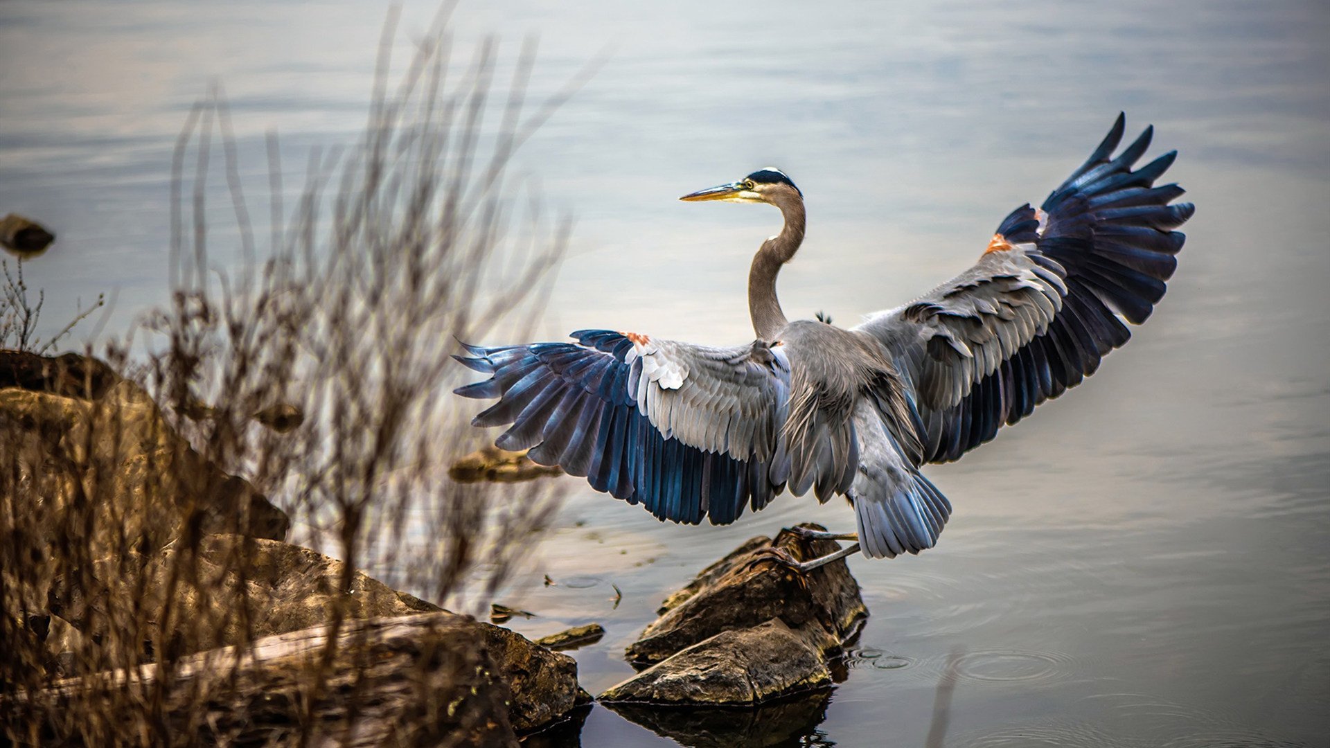 开云体育链接-中国足球青训培训师开展教案标准统一工作,中国足球青训营都有哪些