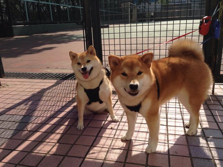 开云官网-中甲俱乐部建立文体融合机制打造多维运营模式,中甲俱乐部运营费用