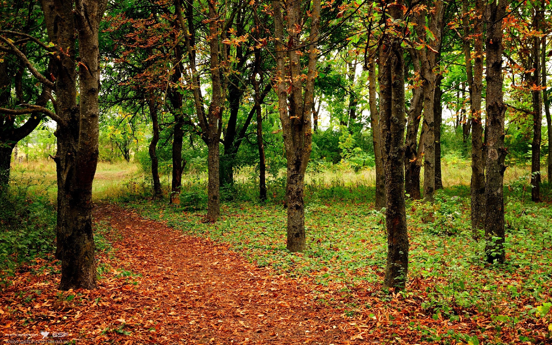 开yun官网-中超联赛中场传控率上升整体打法更具观赏性，中超转播计划2021