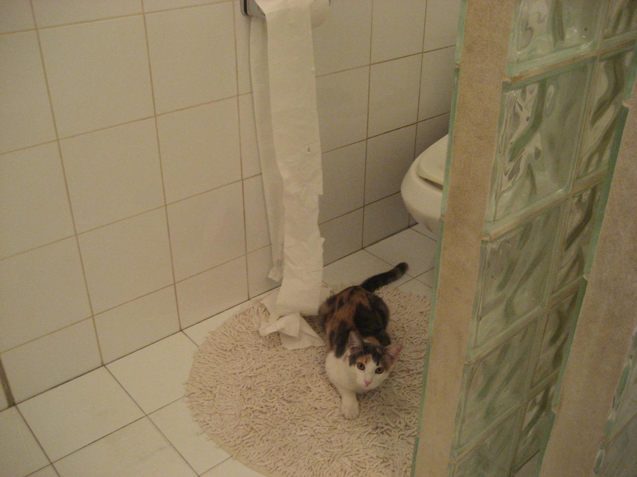 开云体育平台-乌干达女篮在非洲锦标赛中奋勇争金，篮球运动日益繁荣，非洲乌干达来