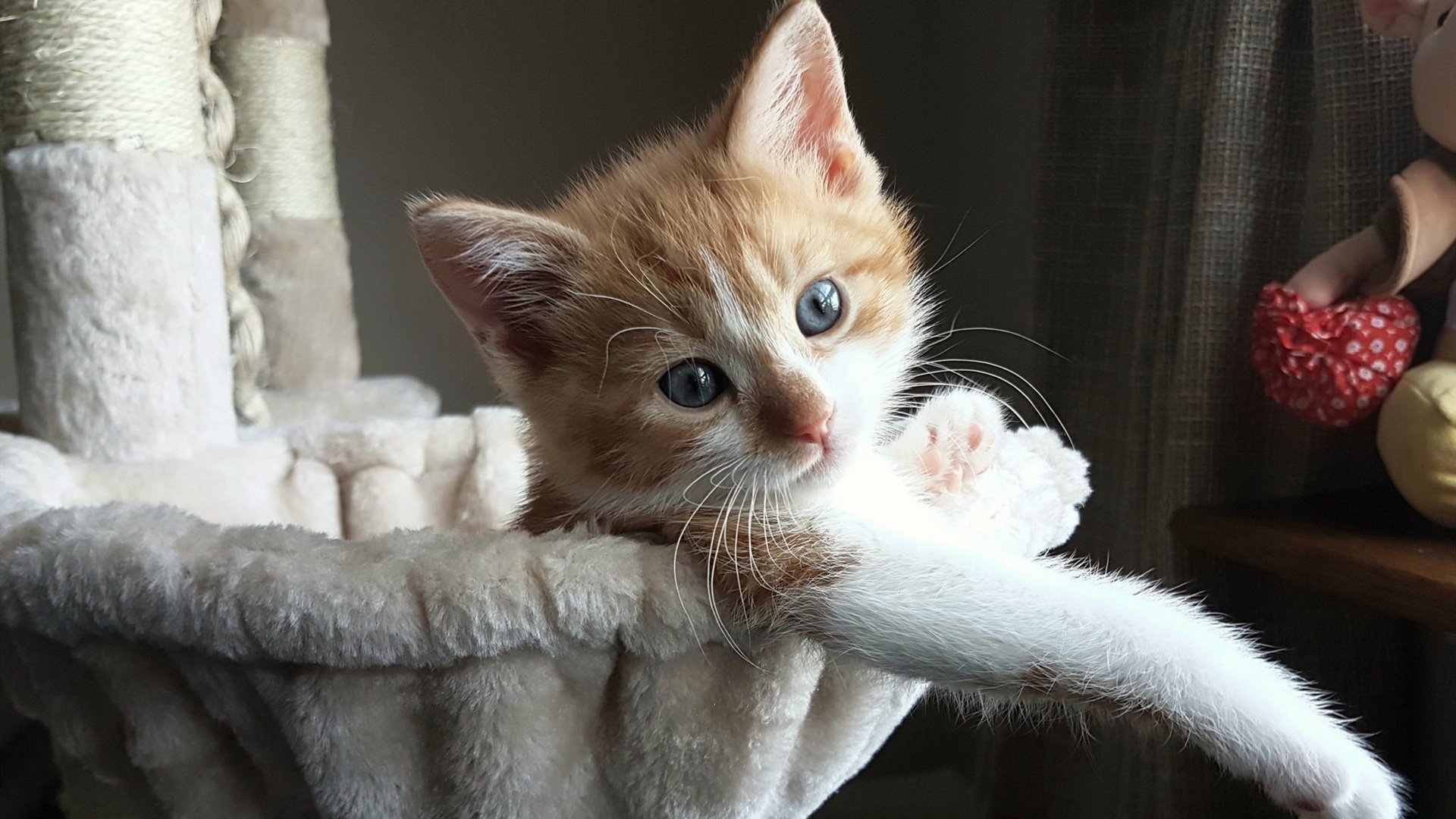 开云体育在线官网-新战术体系初见成效比赛节奏更为紧凑攻防转换更加高效，比赛战术分析