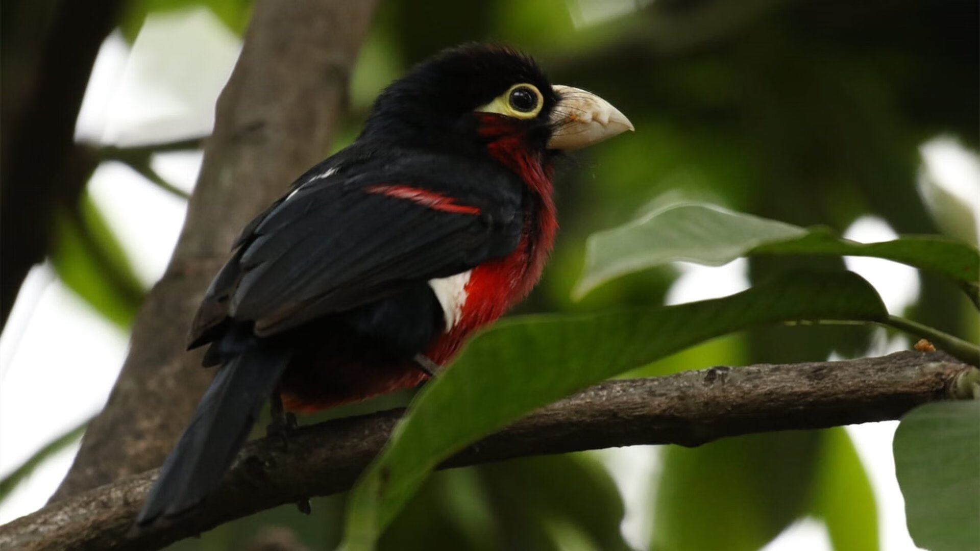 开云体育在线官网-极限自行车培训基地落成引发关注,极限自行车叫什么名字