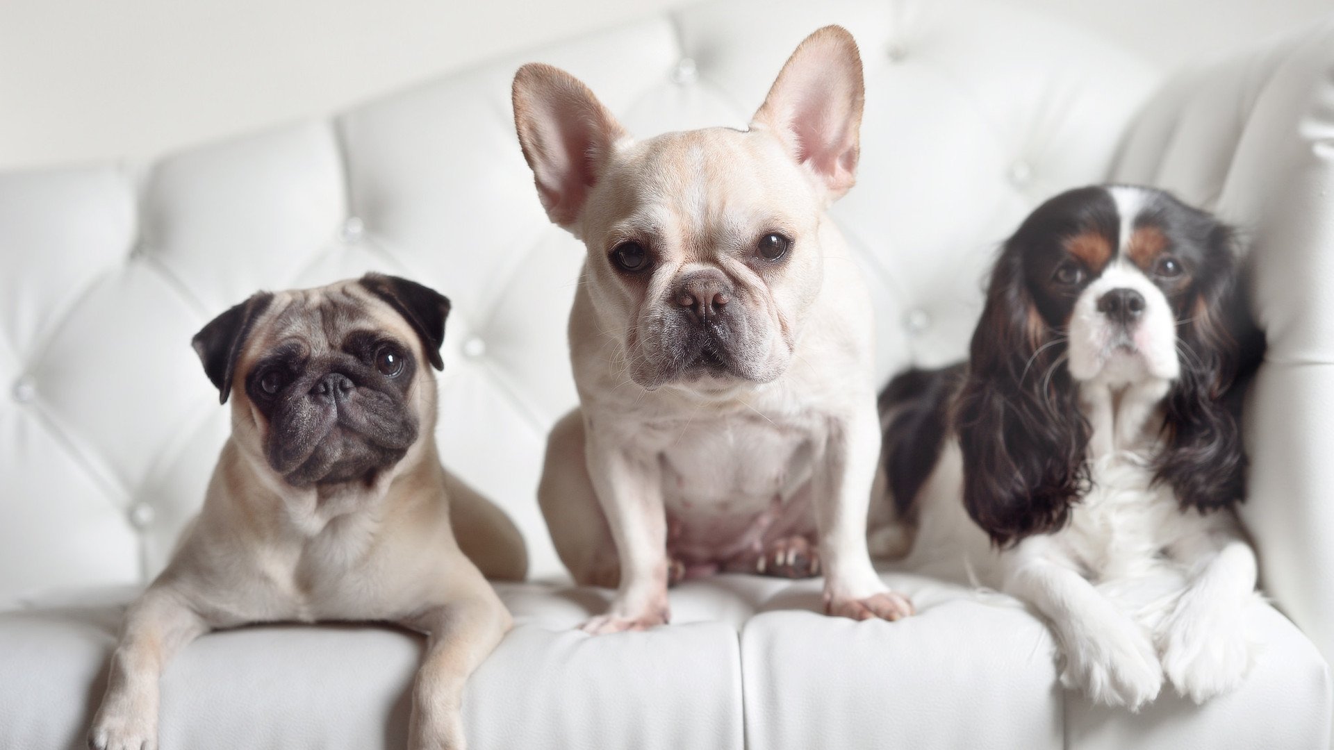 开云体育登录-校园足球联赛首次引入分区积分制促进区域交流,校园足球比赛如何分组